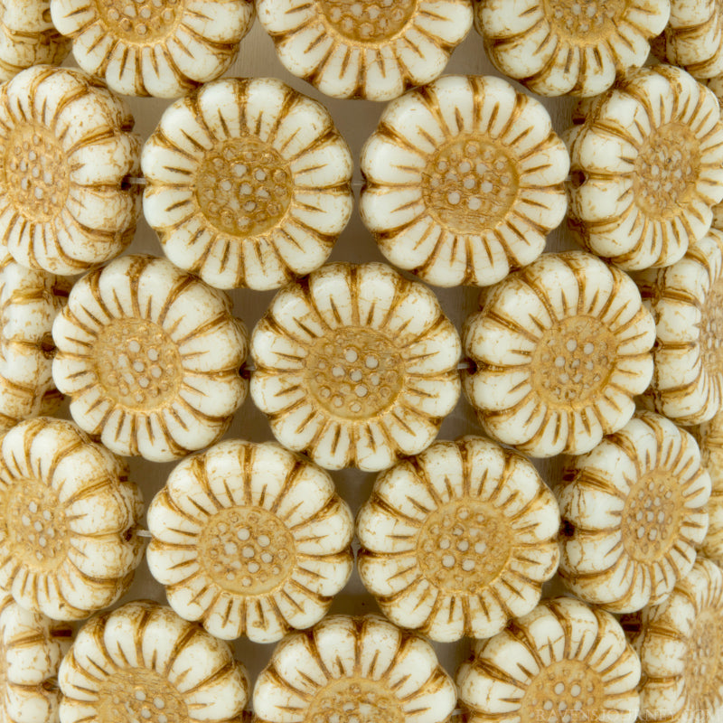 Sunflower (13mm) Ivory Opaque with Dark Bronze Wash