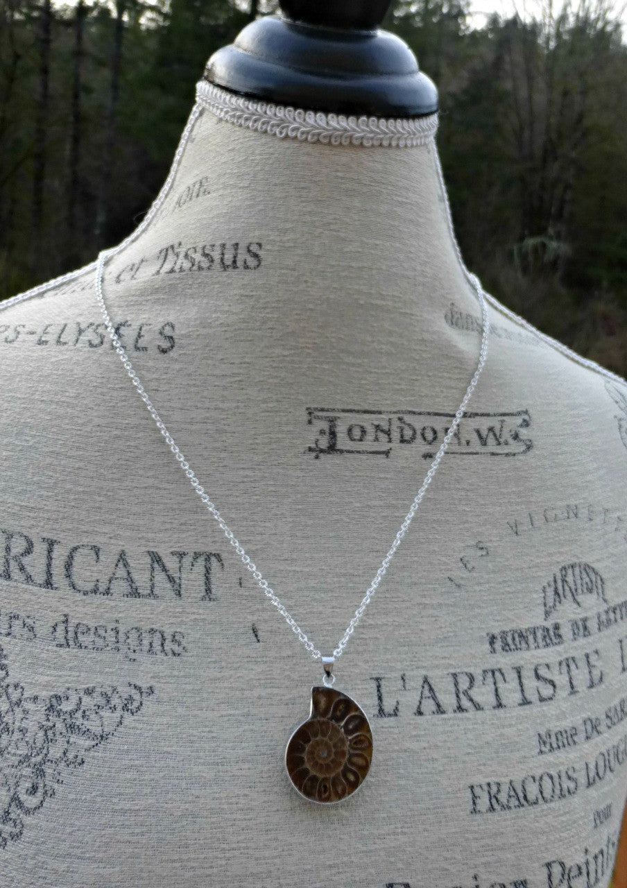 Ammonite shell stone silver frame pendant with silver chain necklace. - Andria Bieber Designs 