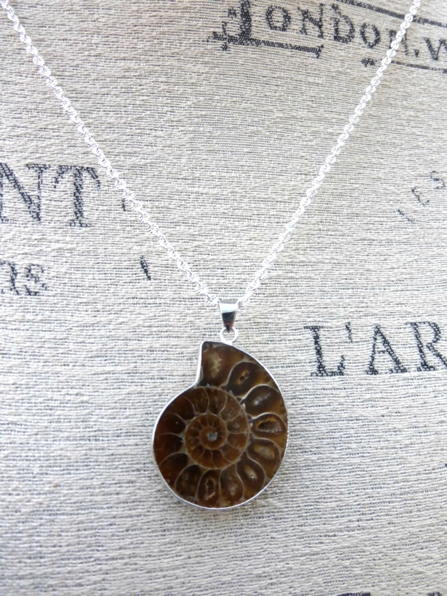 Ammonite shell stone silver frame pendant with silver chain necklace. - Andria Bieber Designs 