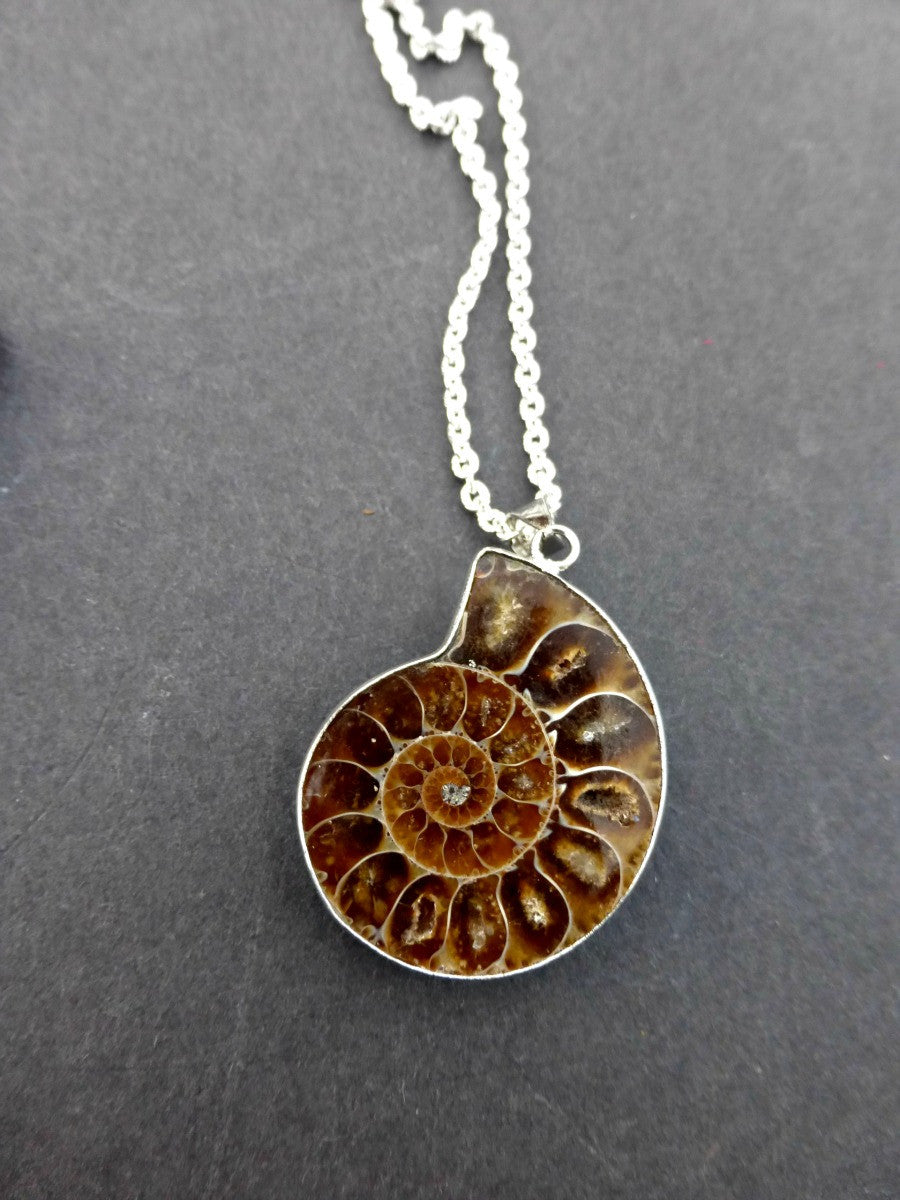 Ammonite shell stone silver frame pendant with silver chain necklace. - Andria Bieber Designs 