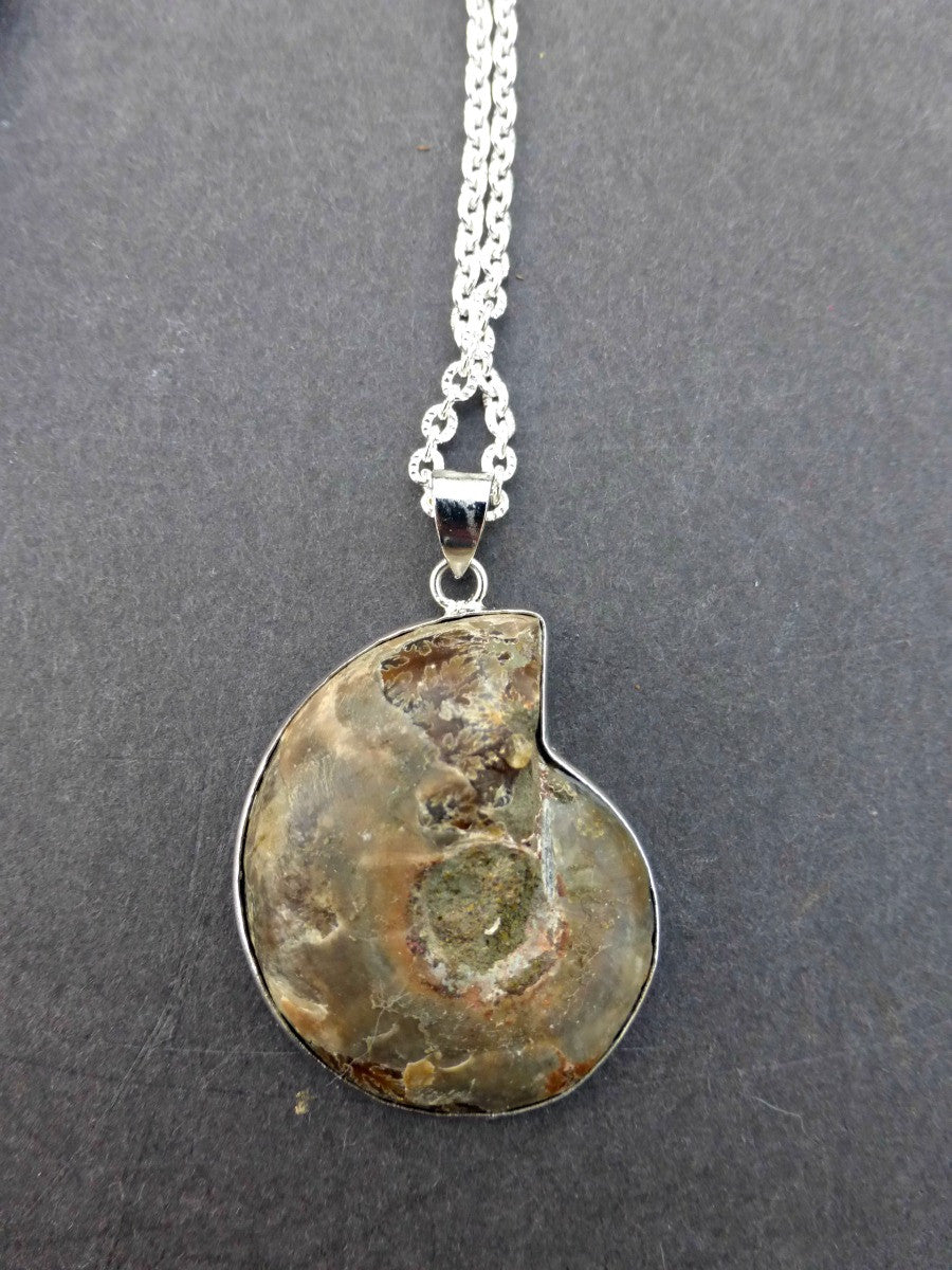 Ammonite shell stone silver frame pendant with silver chain necklace. - Andria Bieber Designs 