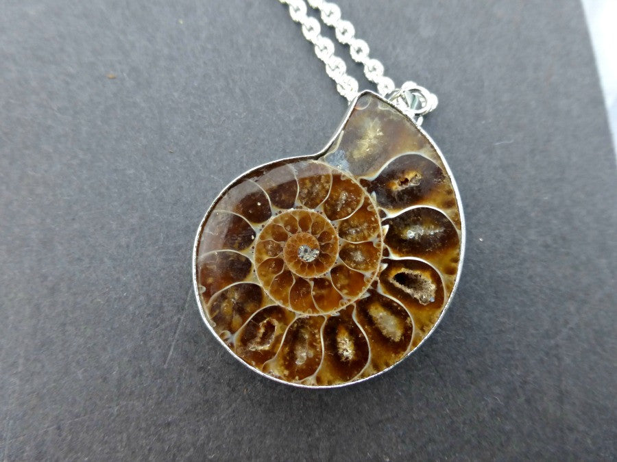 Ammonite shell stone silver frame pendant with silver chain necklace. - Andria Bieber Designs 