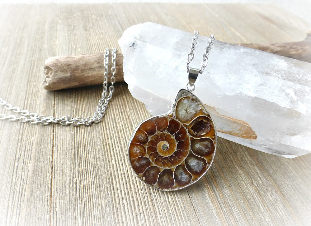 Ammonite shell stone silver frame pendant with silver chain necklace. - Andria Bieber Designs 